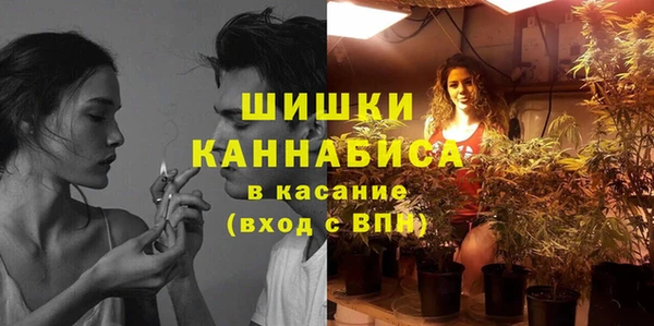 ПСИЛОЦИБИНОВЫЕ ГРИБЫ Алексеевка